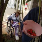 instituições de acolhimento para pessoas com deficiência Tucuruvi