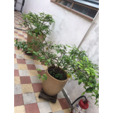 lar hotel para terceira idade Barra Funda