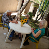lar para idosos Vila Medeiros